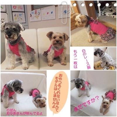 20130819112955d2b.jpg