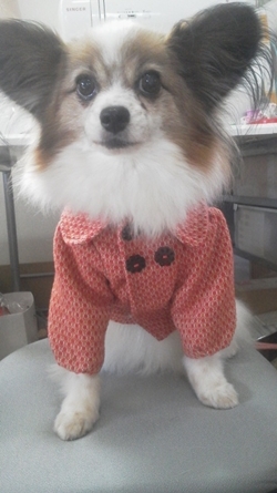 2013102710190000.jpg