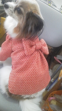 2013102710190001.jpg