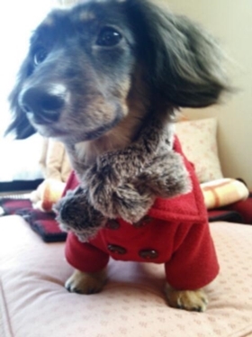 20131215_104551.jpg