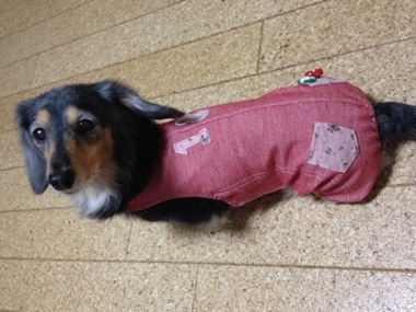 20140206-1.JPG