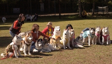 DSC00563.JPG