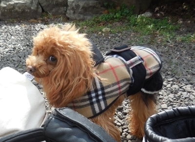 DSCN2734.JPG