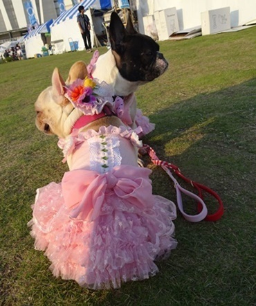 画像4.jpg