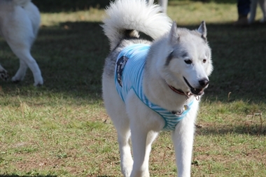 IMG_6174.JPG