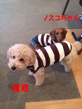 image.jpeg
